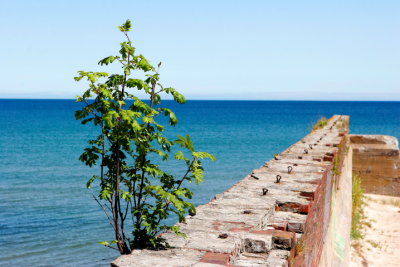 Prora