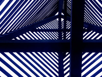 003.JPG