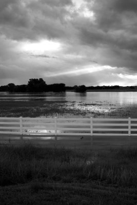 Flood's Black and White