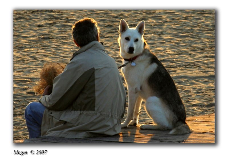 Subject (at least i got the dogs attention)