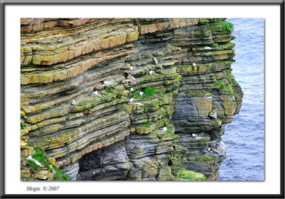 Cliff at Duncansby Head