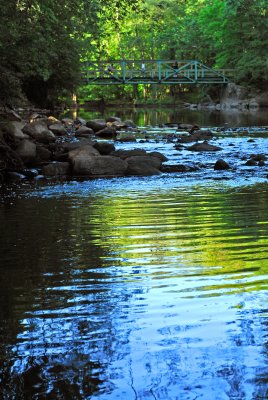 DSC_3452.JPG