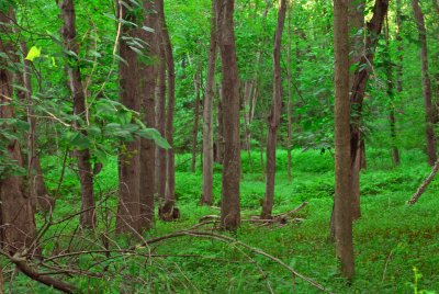 DSC_3476.JPG