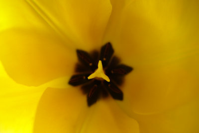 DSC07973.JPG
