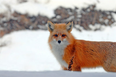 DSC_9348.JPG