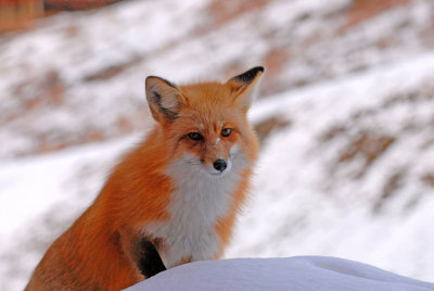 DSC_9349.JPG
