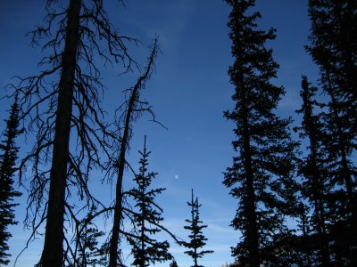 IMG_0518.JPG