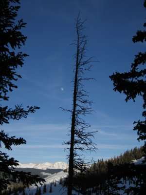 IMG_0521.JPG