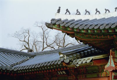 Korean Roof.jpg