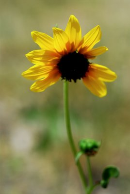 DSC_2535.JPG