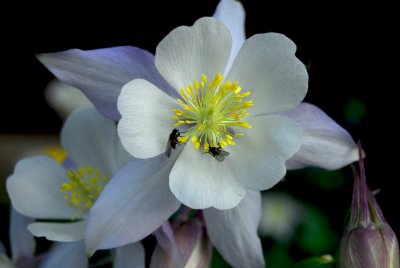 DSC_2582.JPG