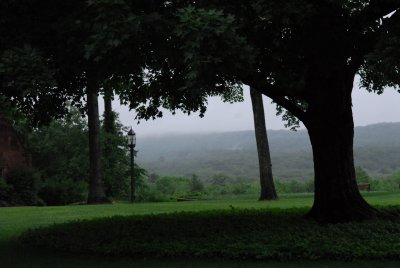 DSC_2310.JPG
