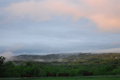 DSC_2315.JPG