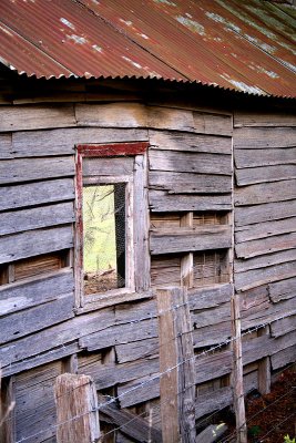 Old shack detail