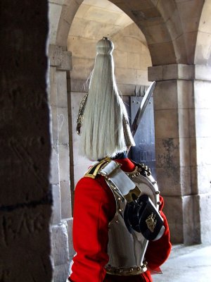 The back of the Queen's guard