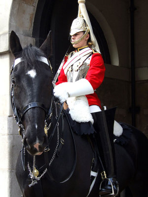 The Queen's guard with trusty horse