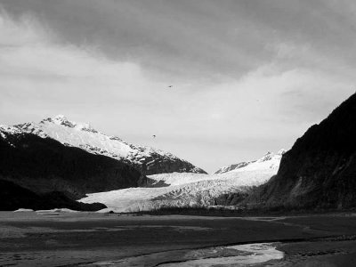 Mendenhall glacier b&w