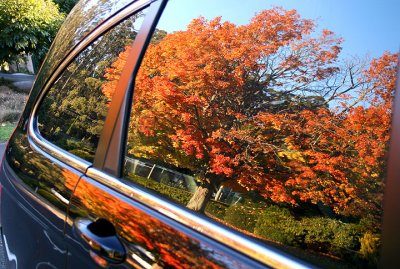 Autumn in my car window