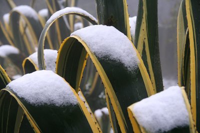 Sprinkling of snow