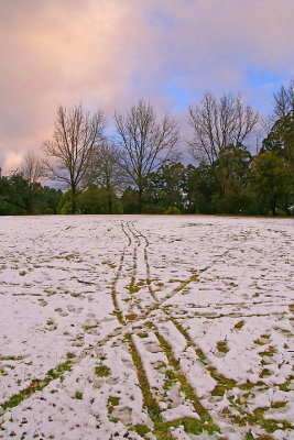 Tracks