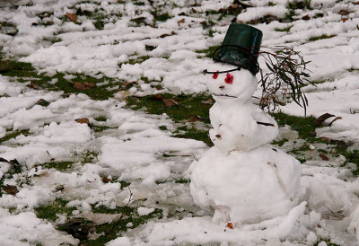 Lonely snowman