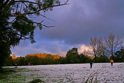 Afternoon light on golf course