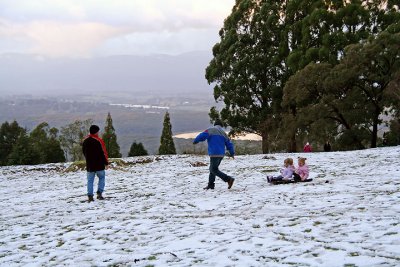 Snow sled