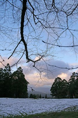 Olinda golf course 9
