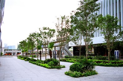 75370002s.jpg