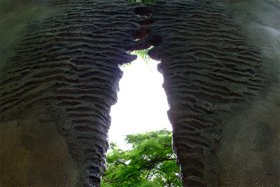 DSCF0609s.jpg