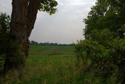 g6/73/768073/3/80712583.lDacGlZV.jpg