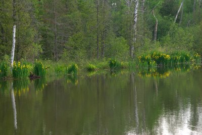 g6/73/768073/3/80780948.trJs24oQ.jpg