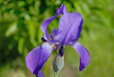 DSC_1206.jpg