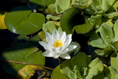 DSC_3629.jpg