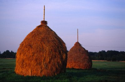 Kampinos