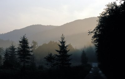 g6/73/778973/3/81163826.shRiBdzc.jpg