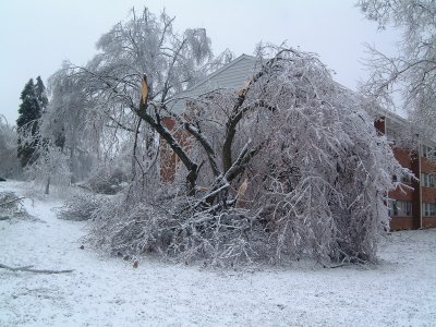Damage caused by ice storm 2