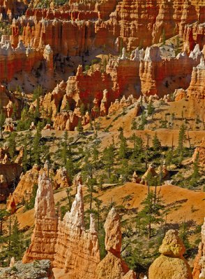 Bryce-Canyon2005-08-27_0011.jpg