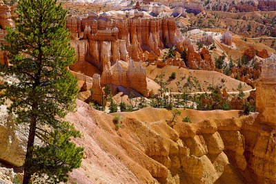 Bryce-Canyon2005-08-29_0005.jpg