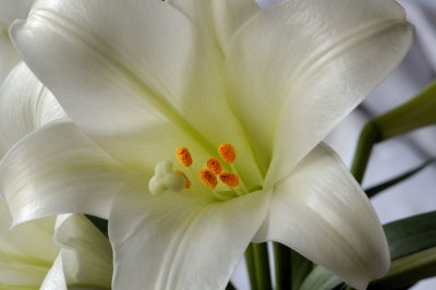 2007-04-12_0002.jpg