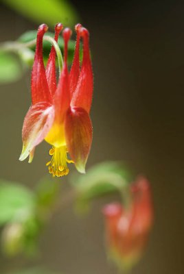 2007-05-04_0039.jpg
