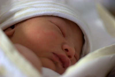 1 day old
