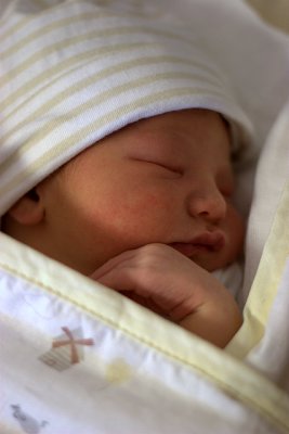 1 day old