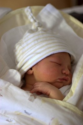 1 day old