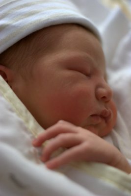 1 day old