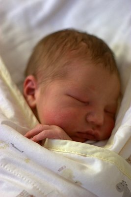 1 day old