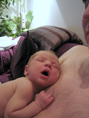 2 Weeks Old