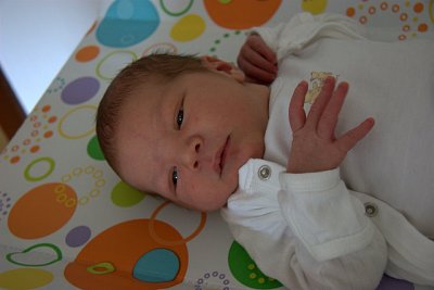 IMG_1154.jpg