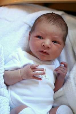 IMG_1455.JPG
