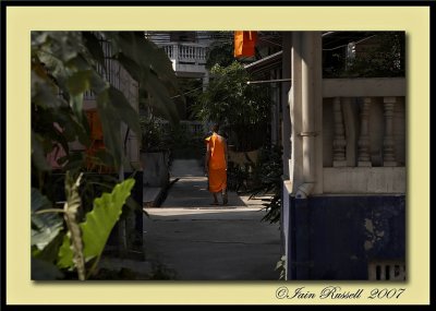 EPV0085 Monk in garden.jpg